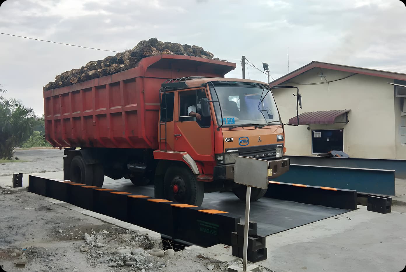 PT Biyu Iyas Malela 2